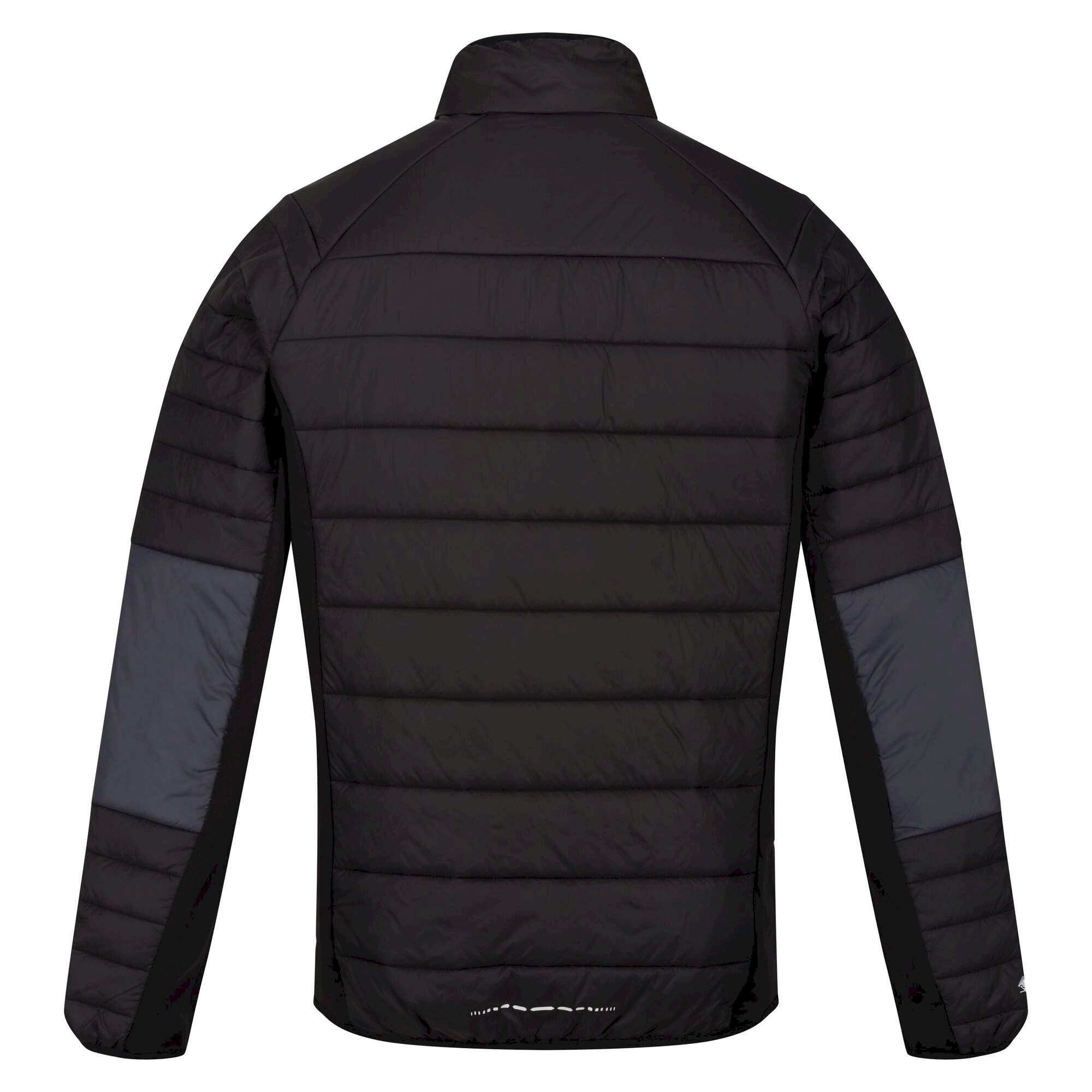 Men's Halton VI Softshell Jacket | Dark Grey Black