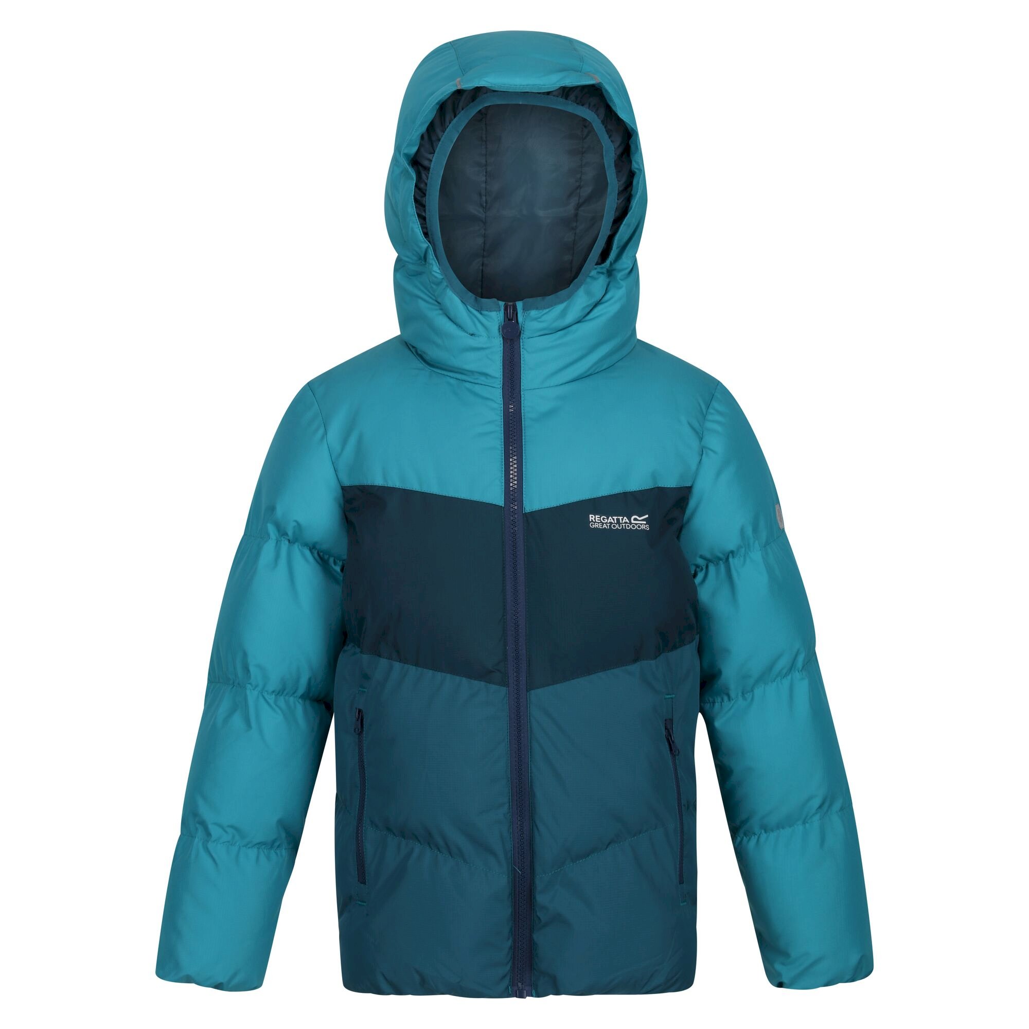 Kids' Lofthouse VI Insulated Jacket | Pagoda Blue Reflecting Lake Dragonfly