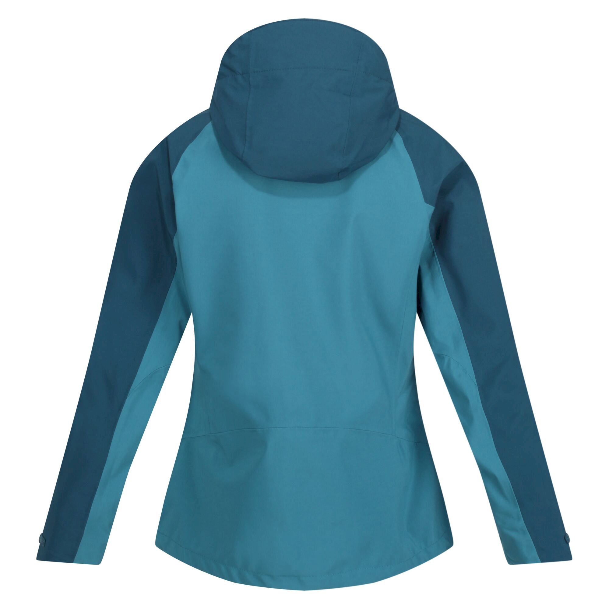 Women's Birchdale Waterproof Jacket | Dragonfly Reflecting Lake
