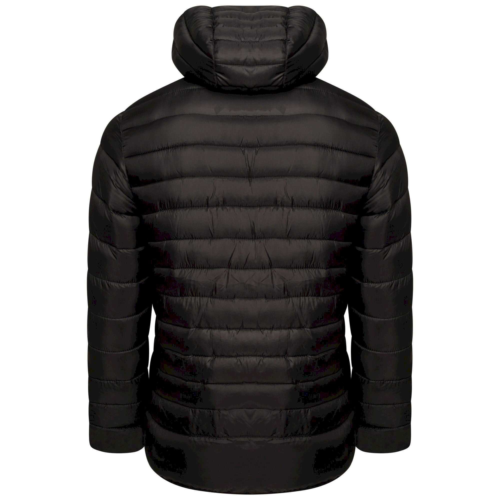 Dare 2b - Men's Drifter II Padded Jacket | Black