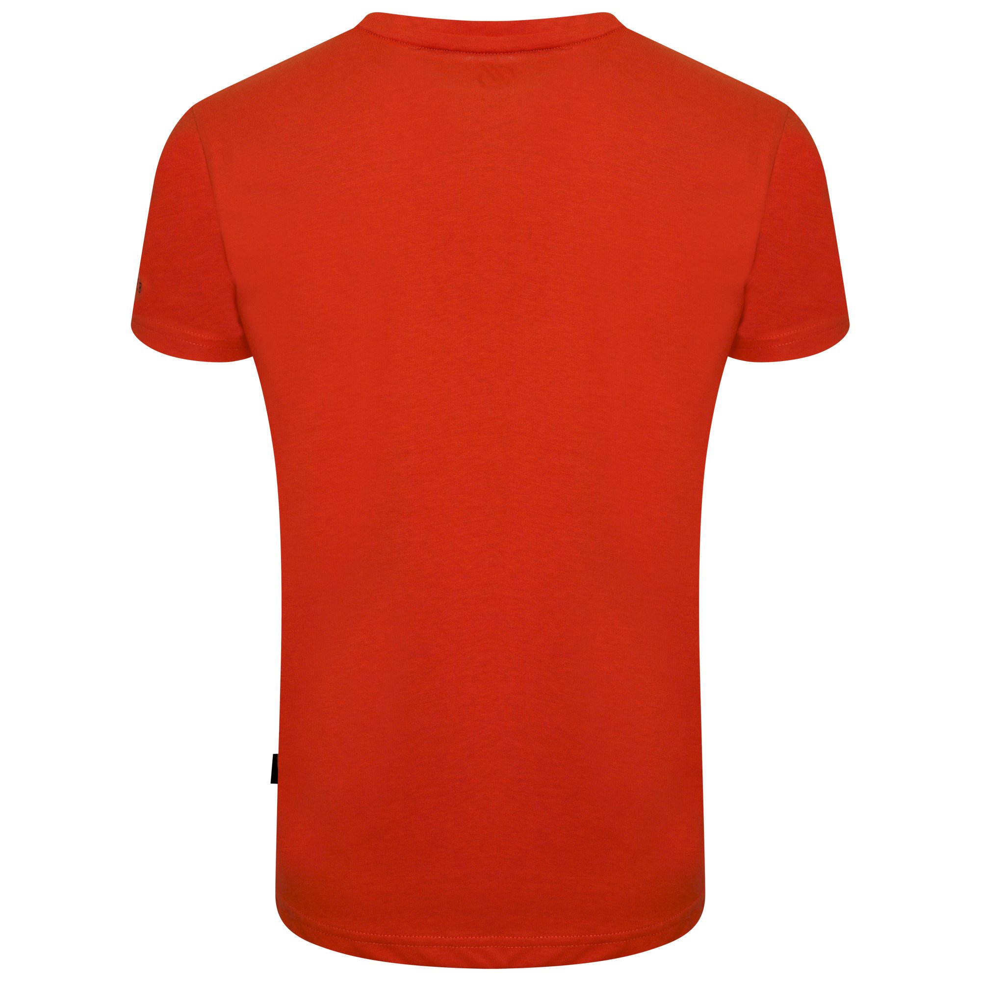 Dare 2b - Kids' Go Beyond Graphic Tee | Burnt Salmon