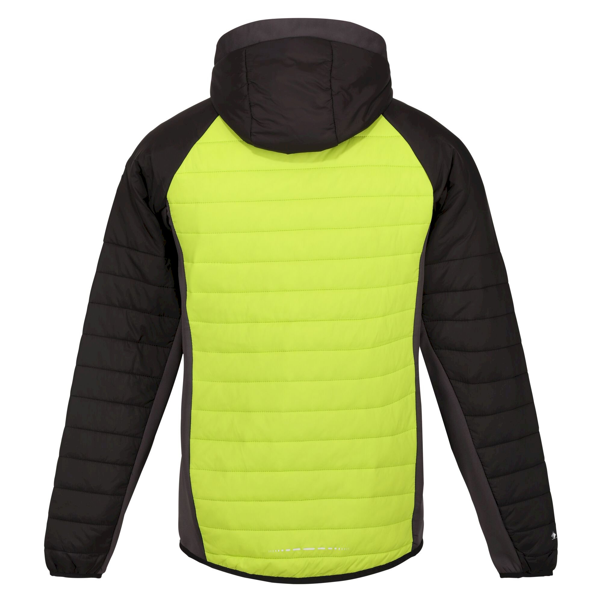 Men's Trutton Softshell Hooded Jacket | Bright Kiwi Black