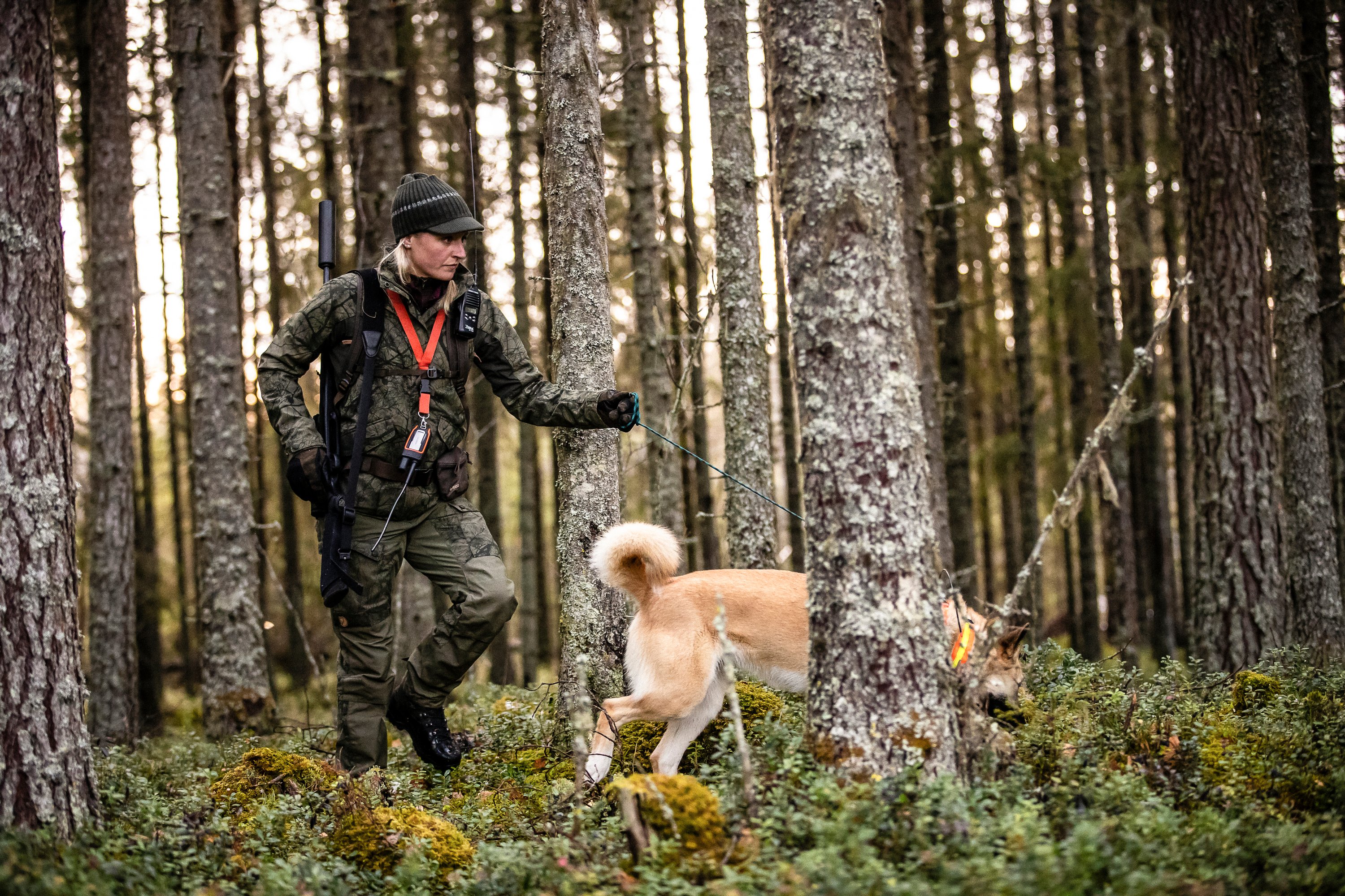 Lappland Balaclava Cap