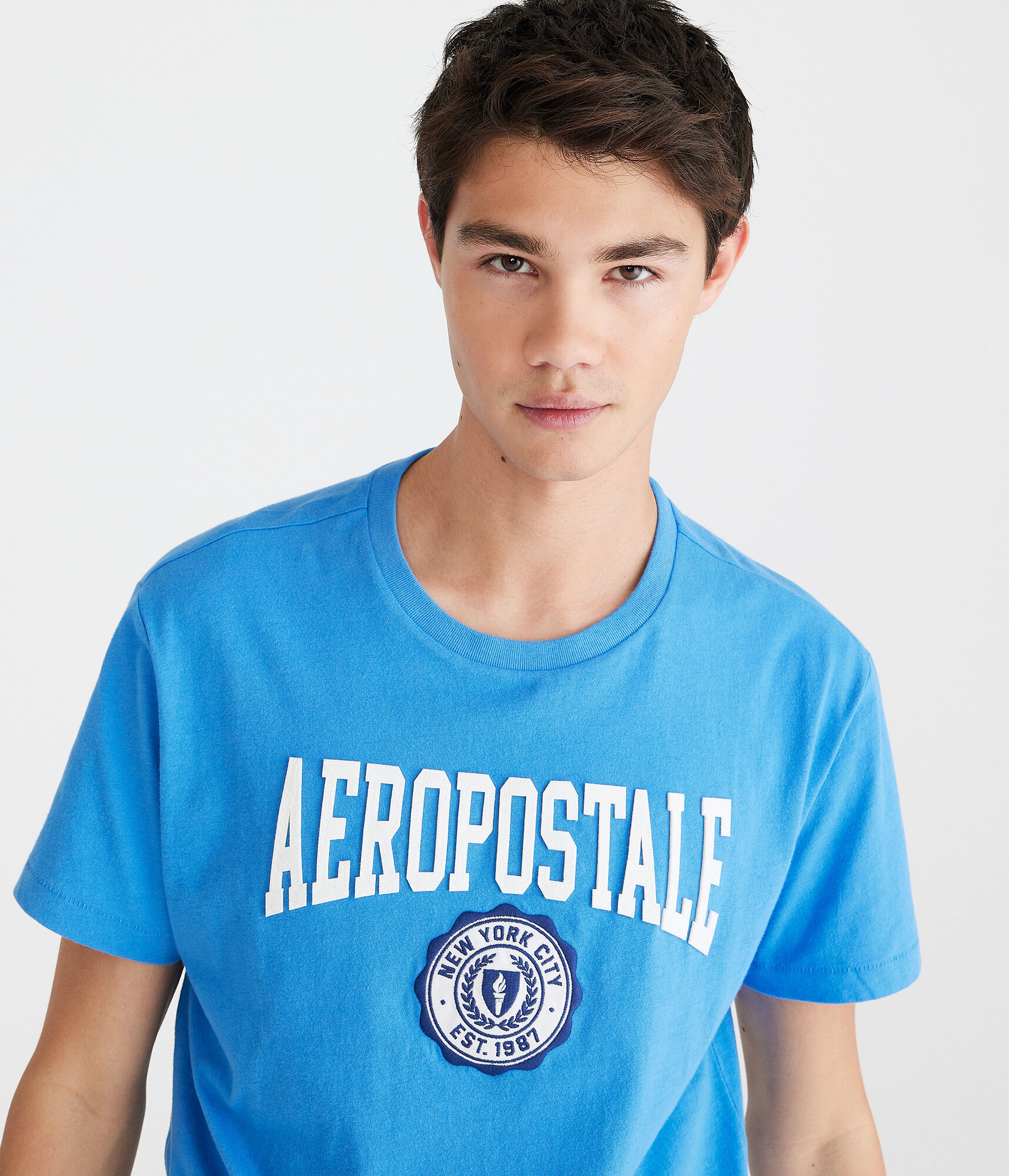Aeropostale Crest Appliqué Graphic Tee
