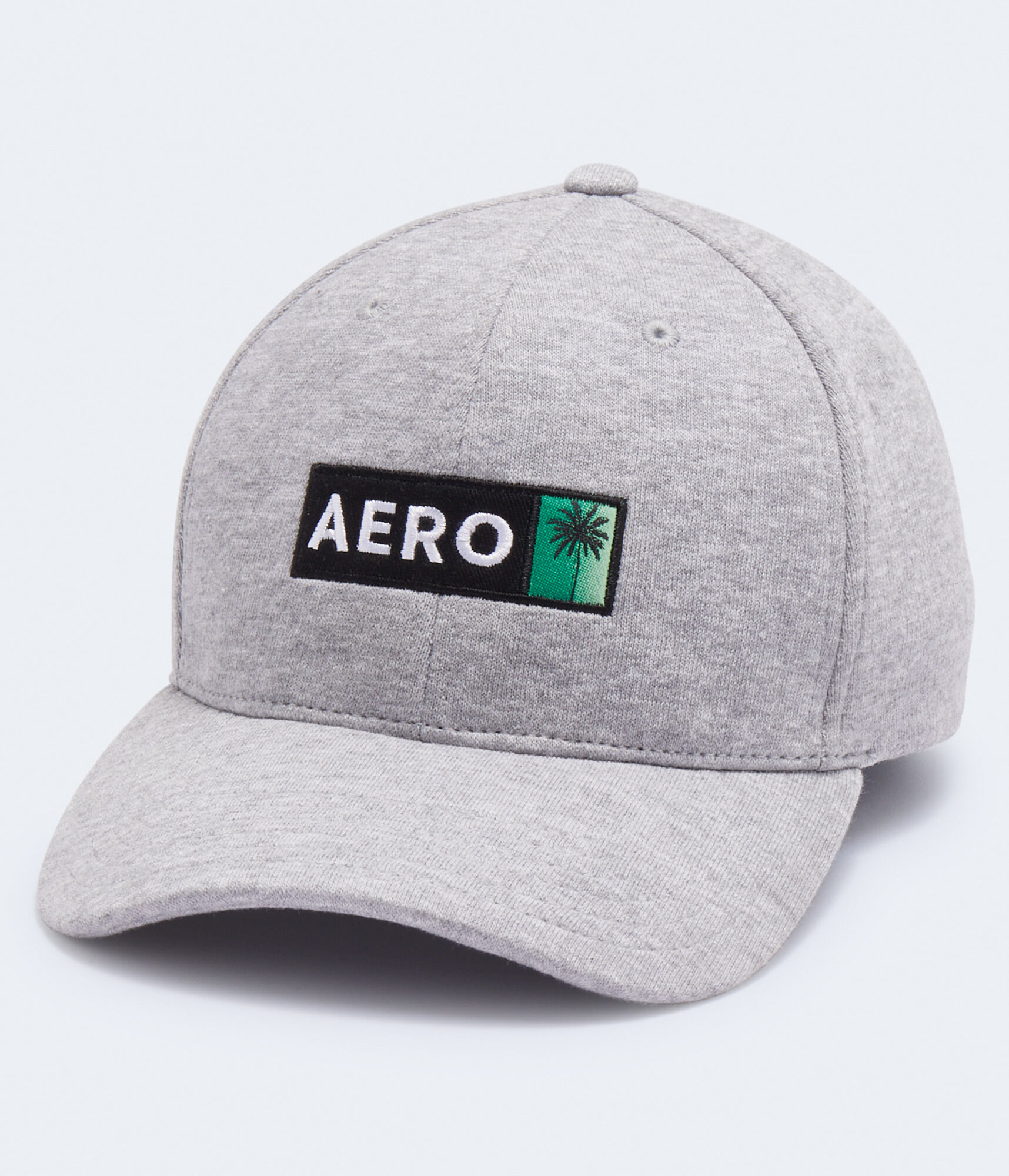 Aero Palm Tree Box Logo Fitted Hat