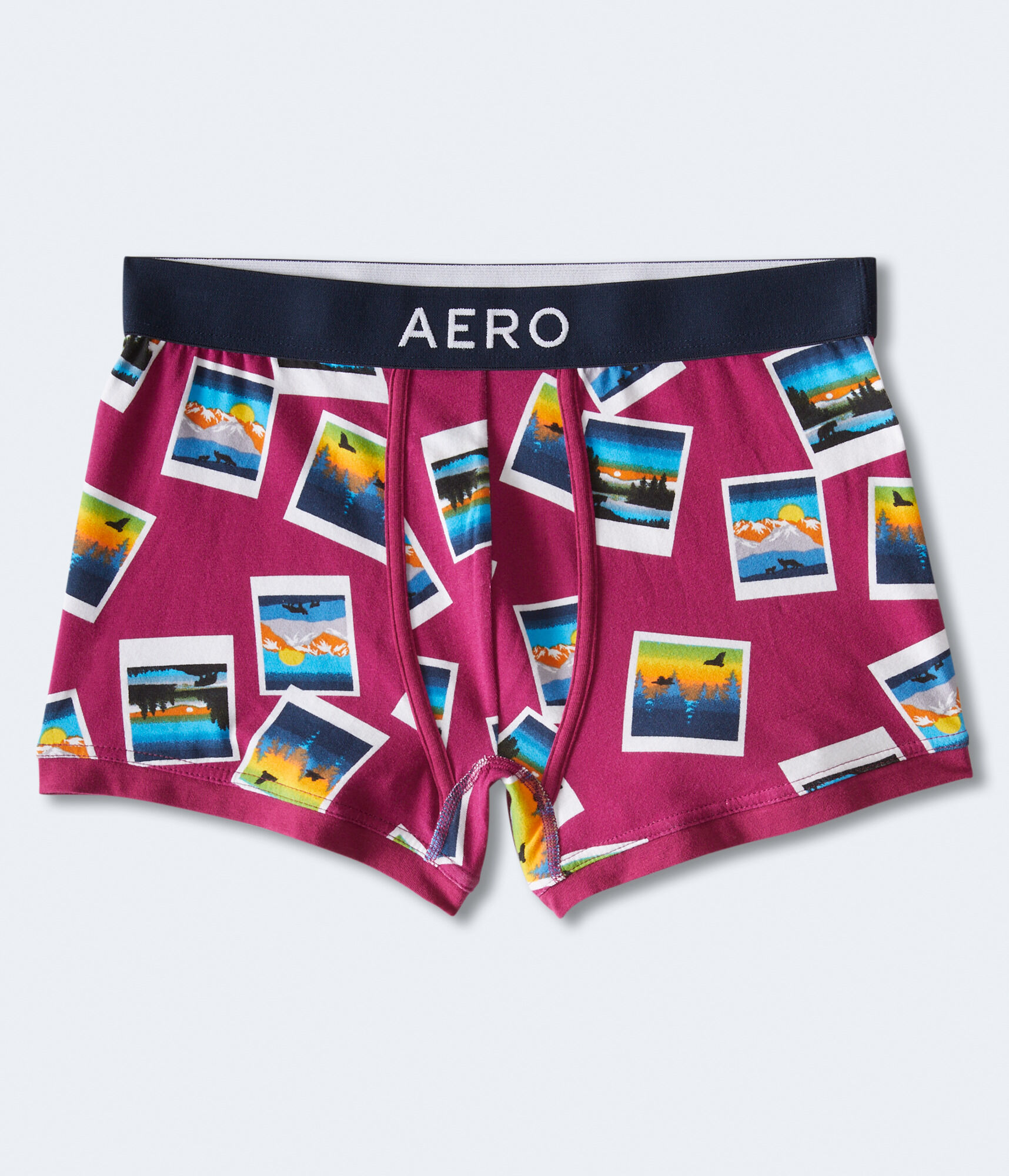 Mountain Photos Knit Trunks