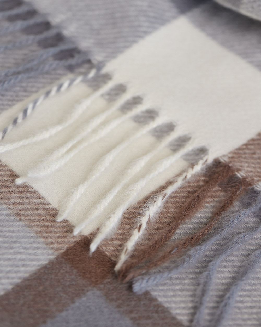 Plaid Scarf with Fringes