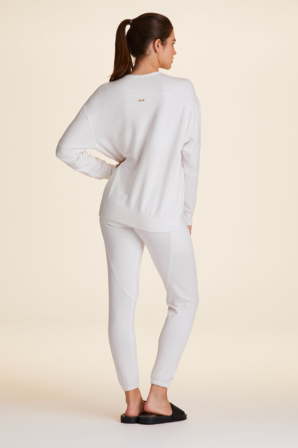 Alala - Blocked Crewneck