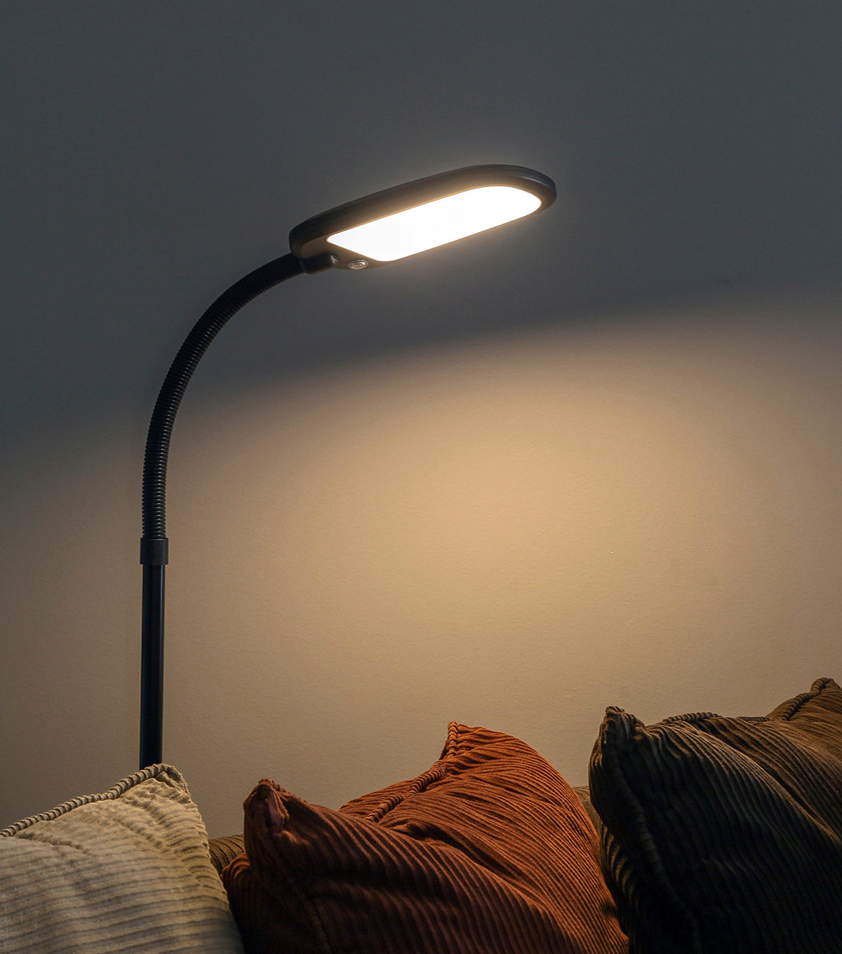 Litespan Slim Led Gooseneck Floor Lamp With Adjustable Head