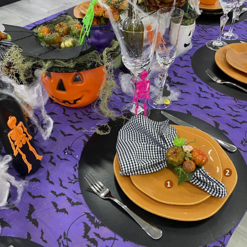 Oxford Ryo Papaya 20 Pieces Dinnerware Set Service for 4