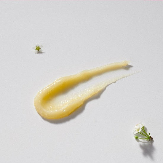 Wild Rose Beauty Balm 50g - Neal's Yard Remedies