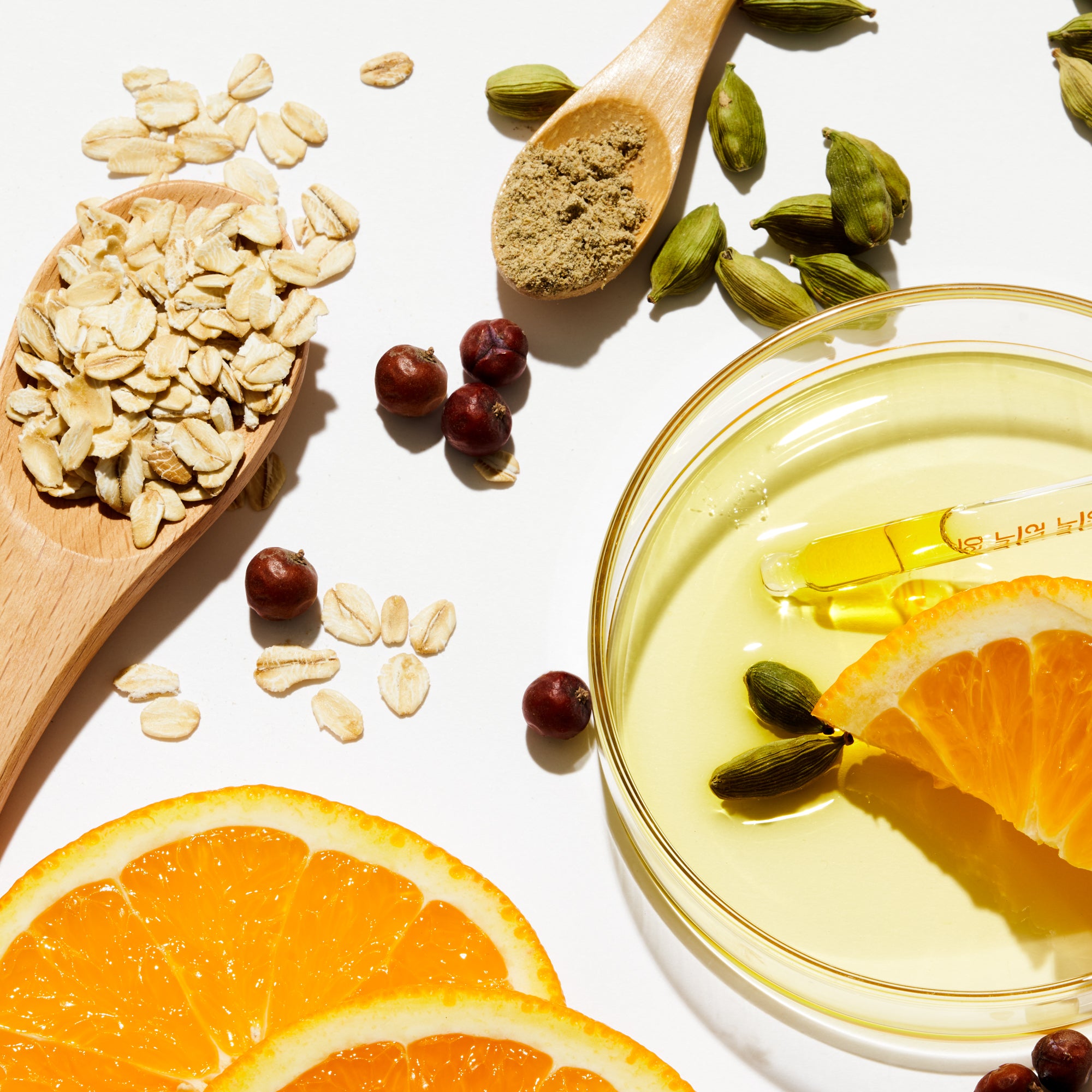 The Hydrator Shampoo & Conditioner Bar Travel Set