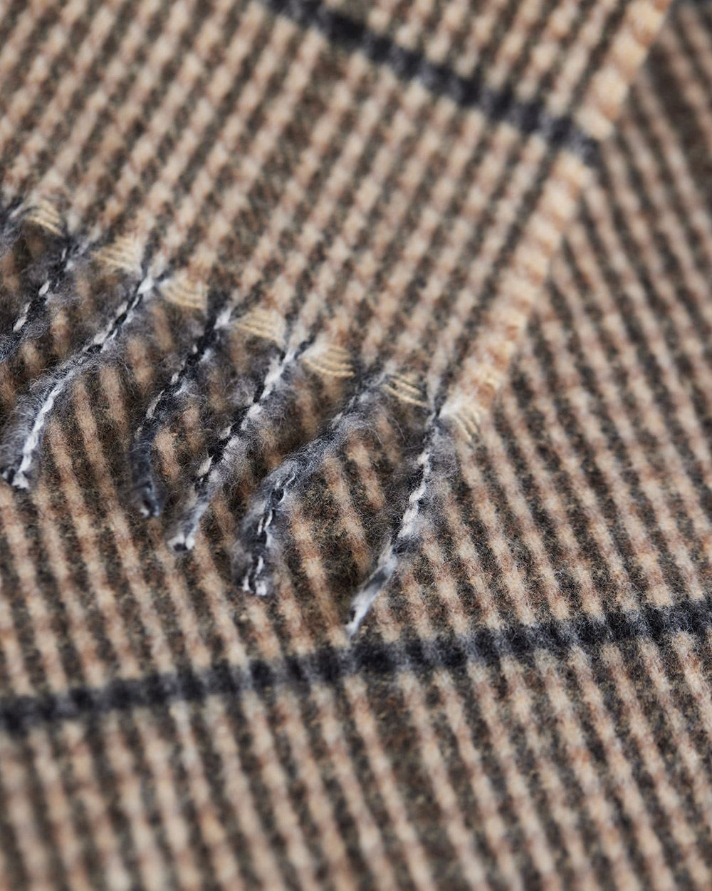 Plaid Scarf with Fringes