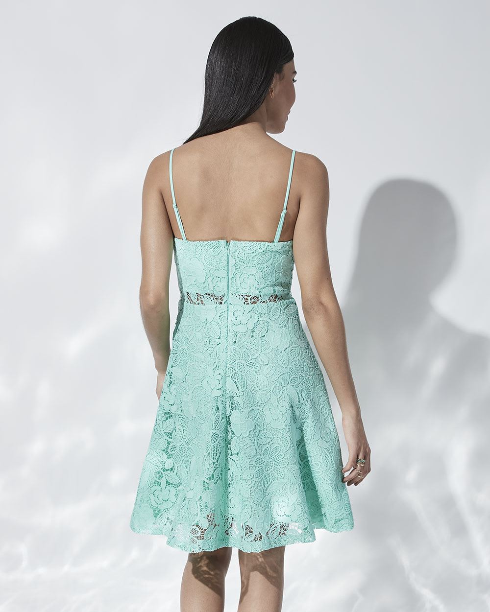 Lace Fit and Flare Sleeveless Cocktail Dress
