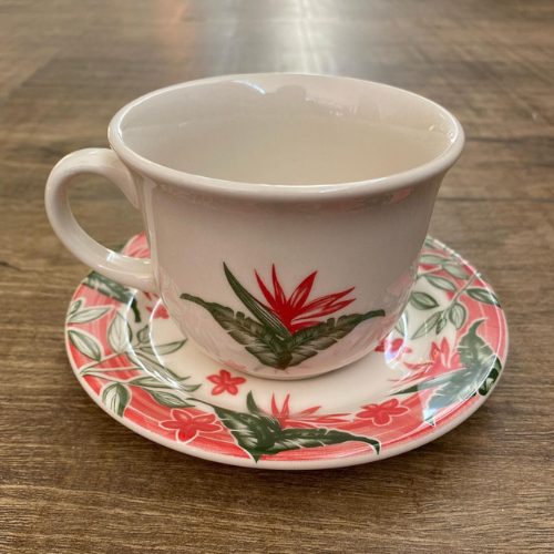 Oxford Donna Tropical Garden 20 Pieces Dinnerware Set Service for 4