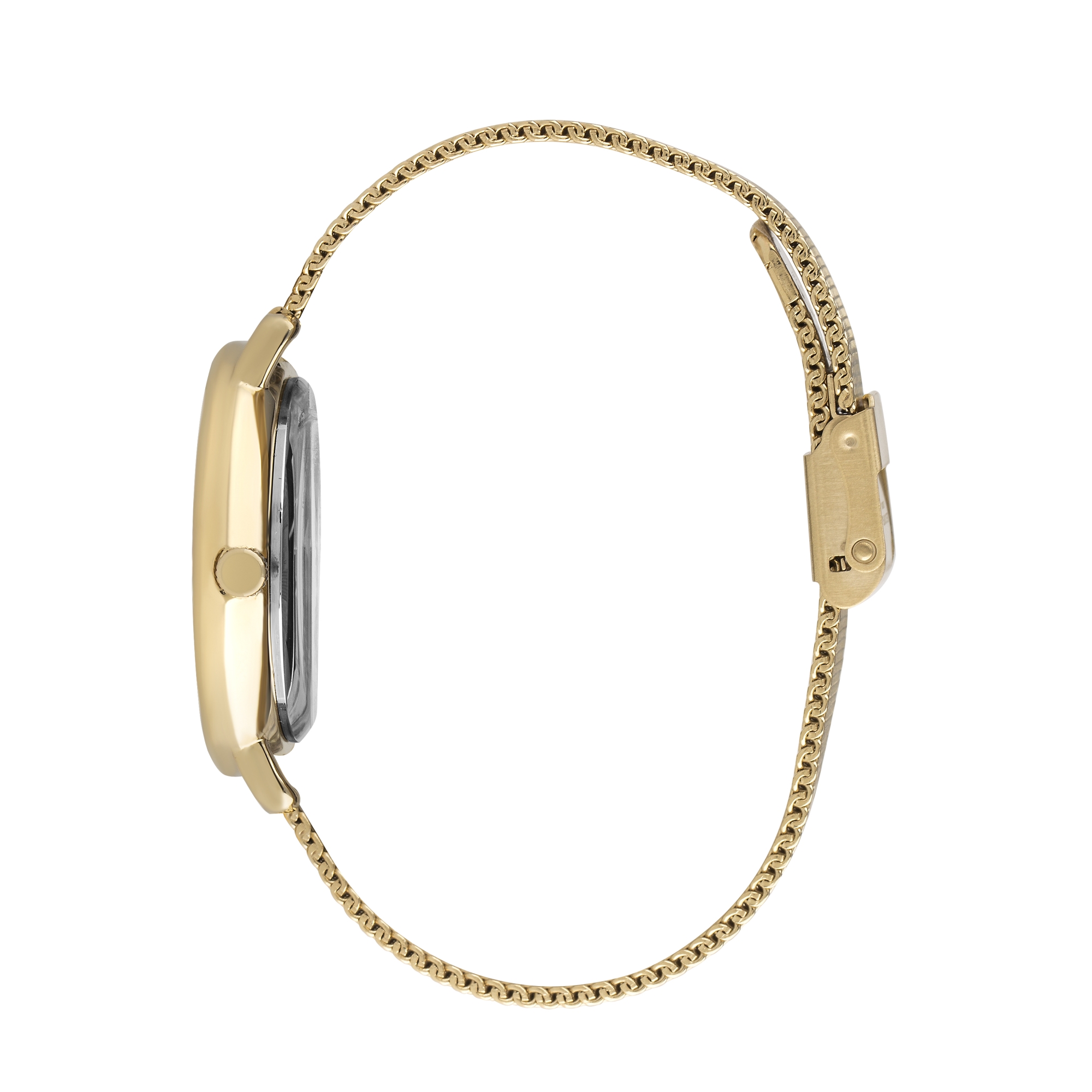 LEE COOPER-Women's Rose Gold 34mm watch w/Black Dial