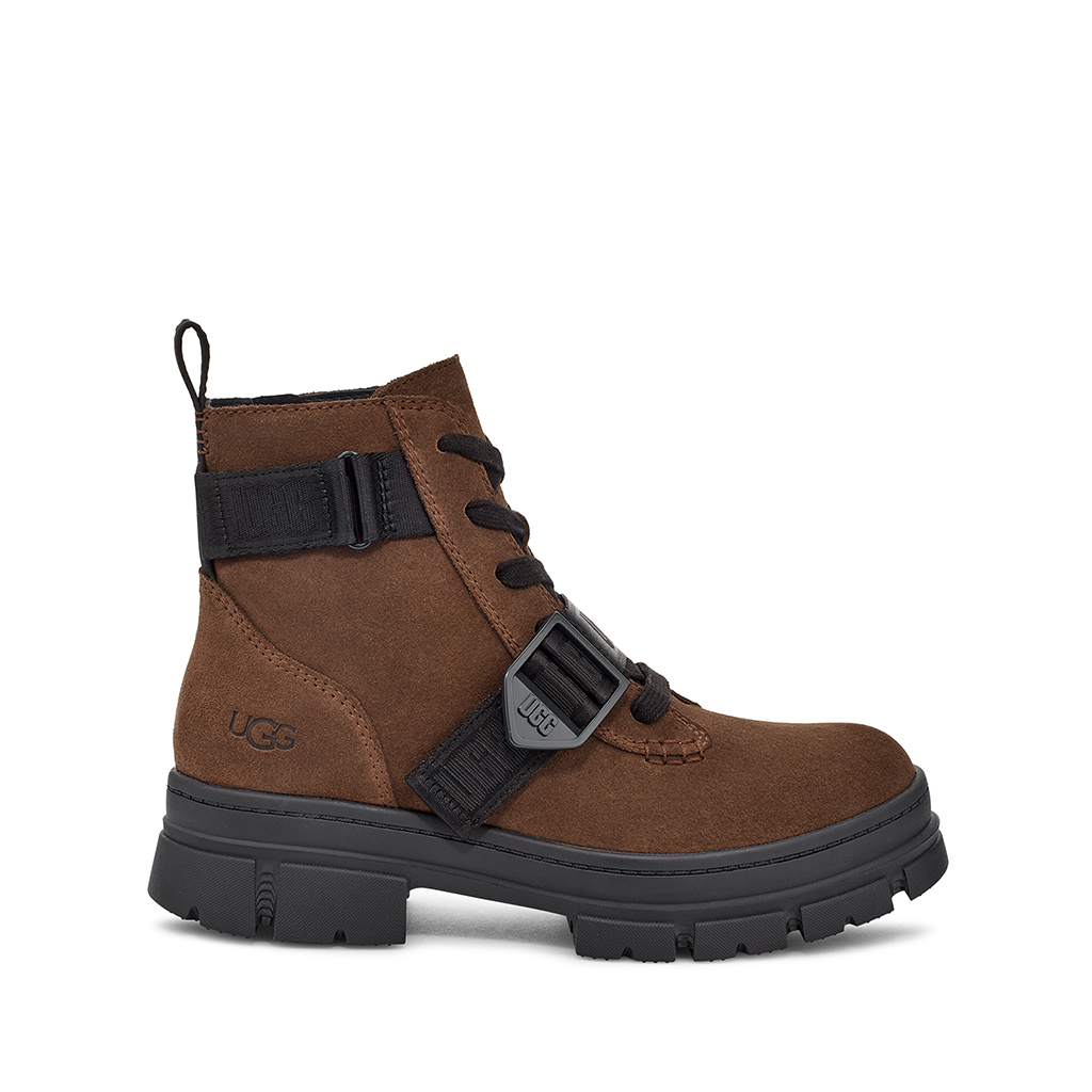 Ugg Ashton Lace Up in Dark Earth