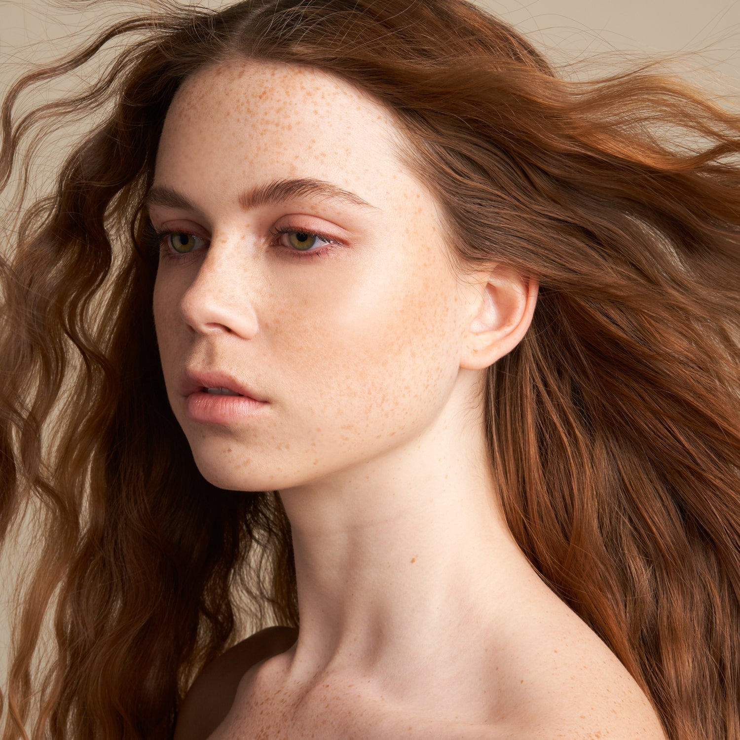 The Balancer Shampoo & Conditioner Bars Travel Set