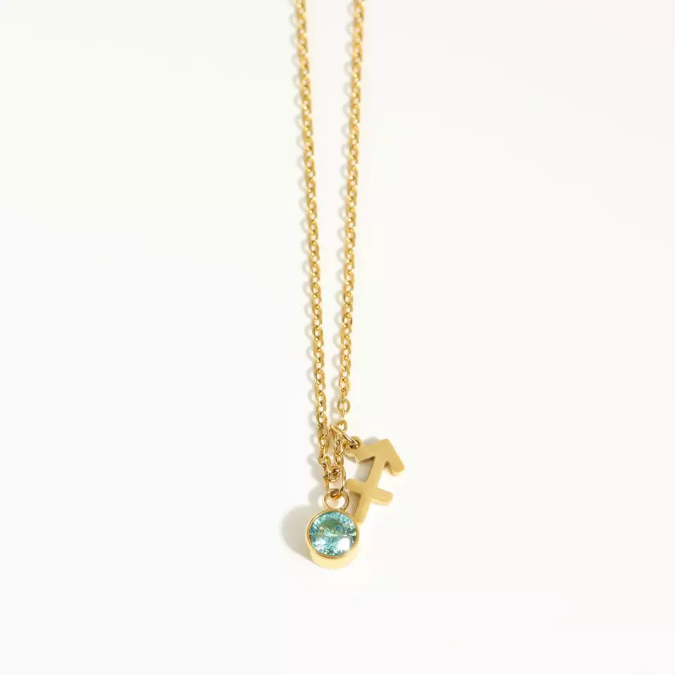 Goldtone zodiac and birthstone necklace in stainless steel- Sagittarius - Eva Sky2
