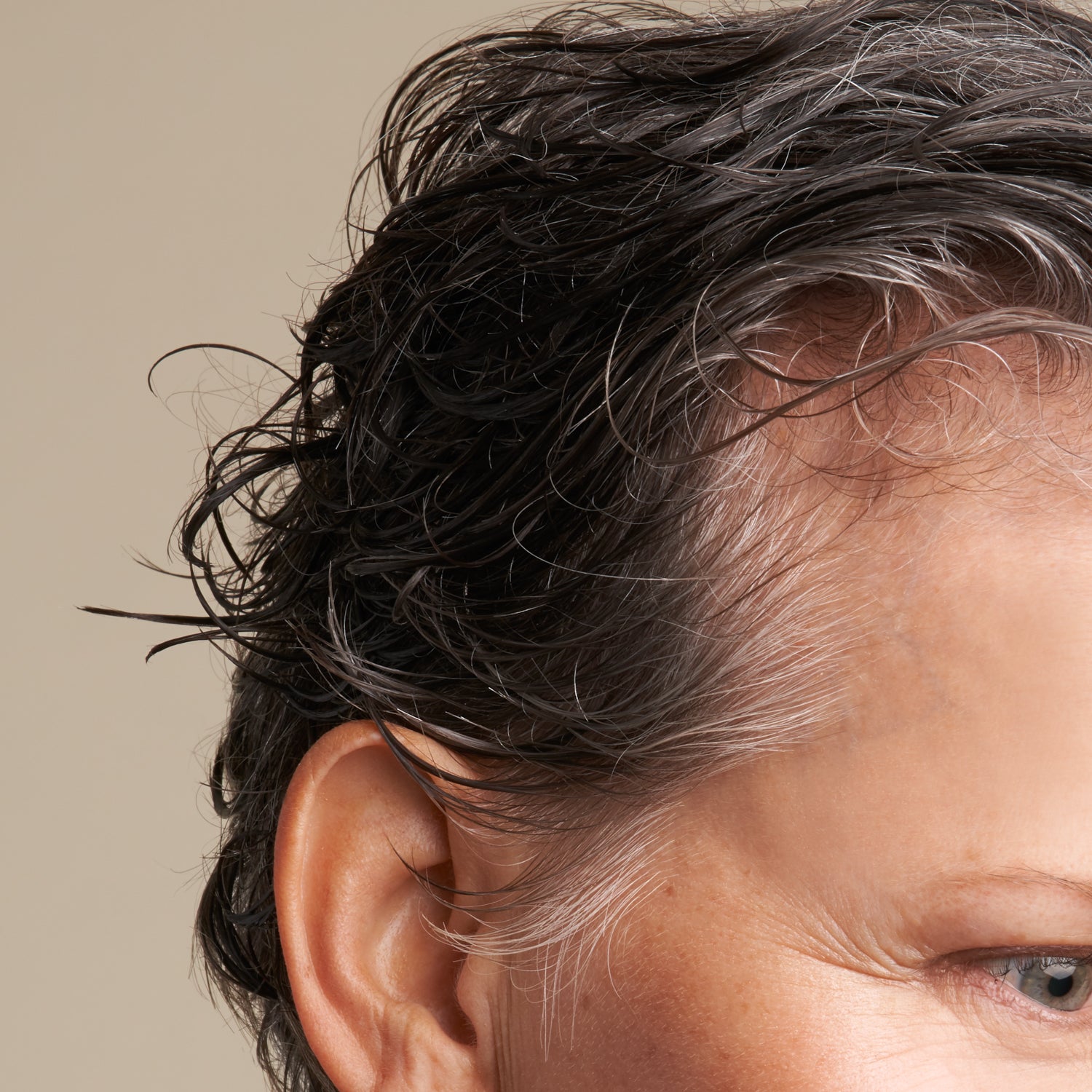 The Detoxifier Shampoo & Conditioner Bars Travel Set