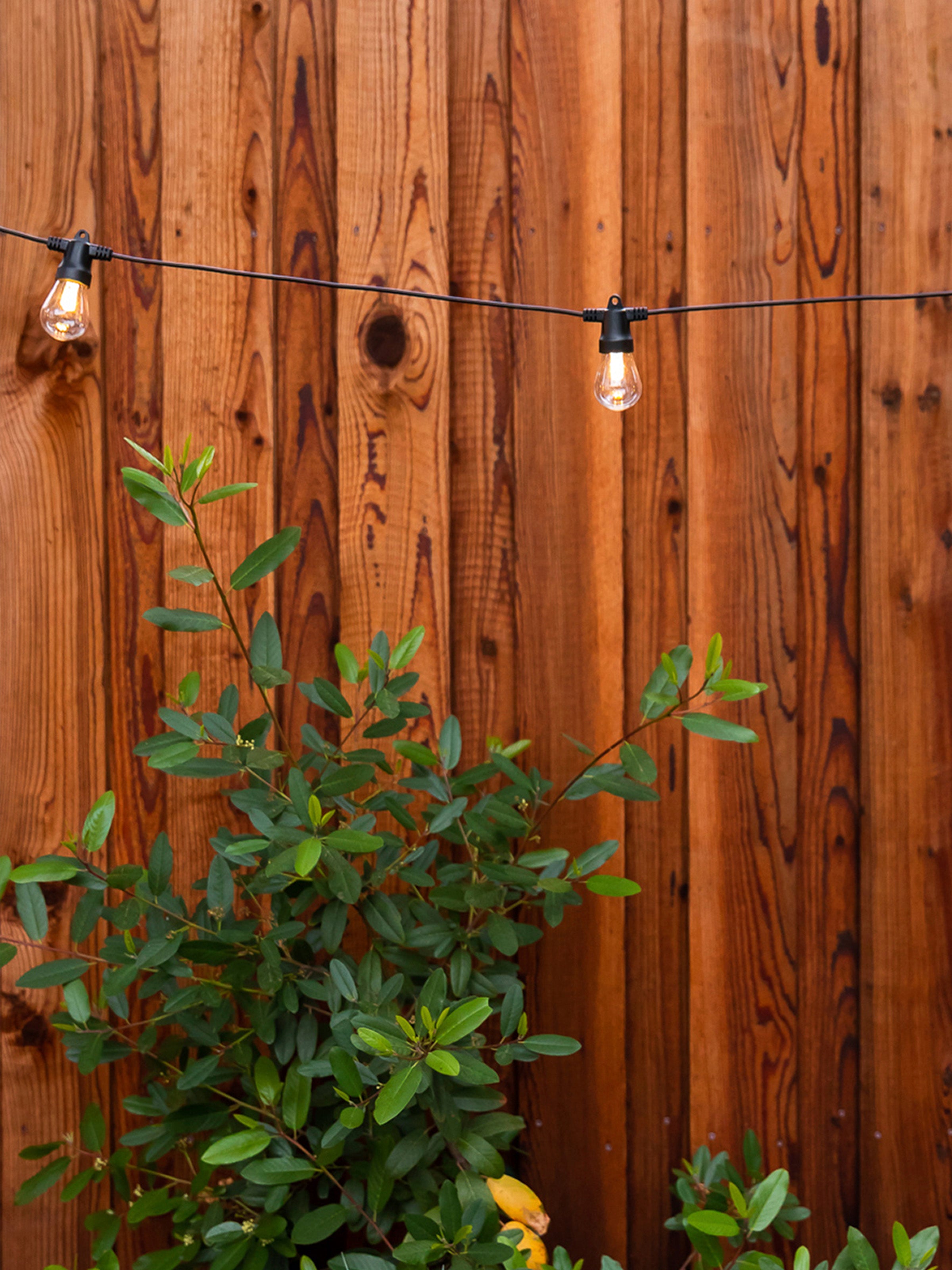 Ambience Pro Led Non-hanging Bulb String Lights - S14 Bulb, 1w, 24.5 Ft, 2700k, Usb-powered