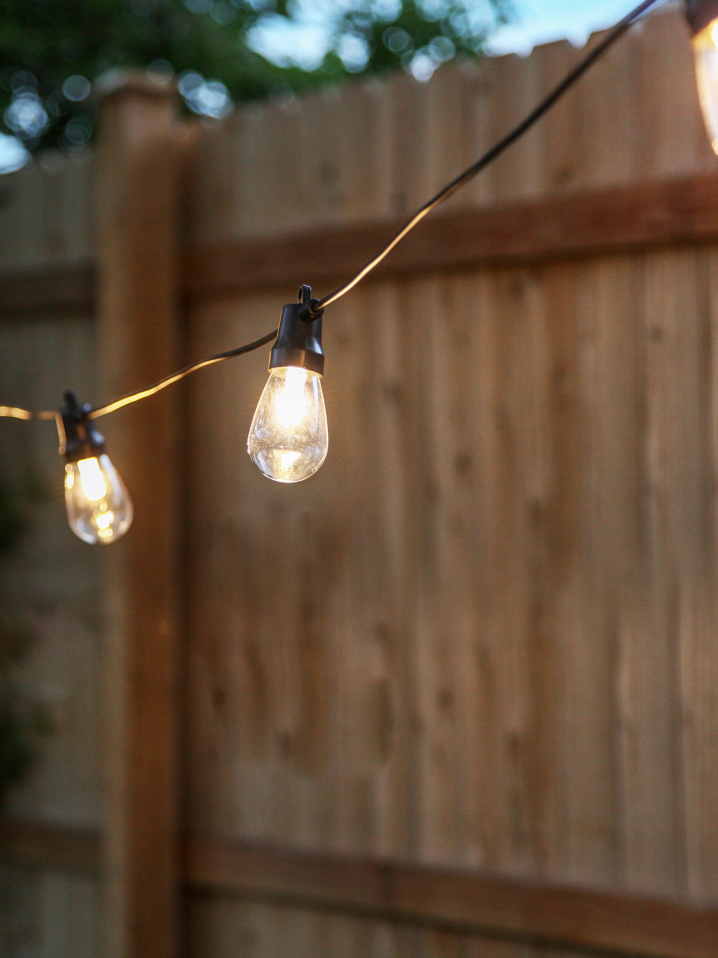 Ambience Pro Led Non-hanging Bulb String Lights - S14 Bulb, 1w, 24.5 Ft, 2700k, Usb-powered