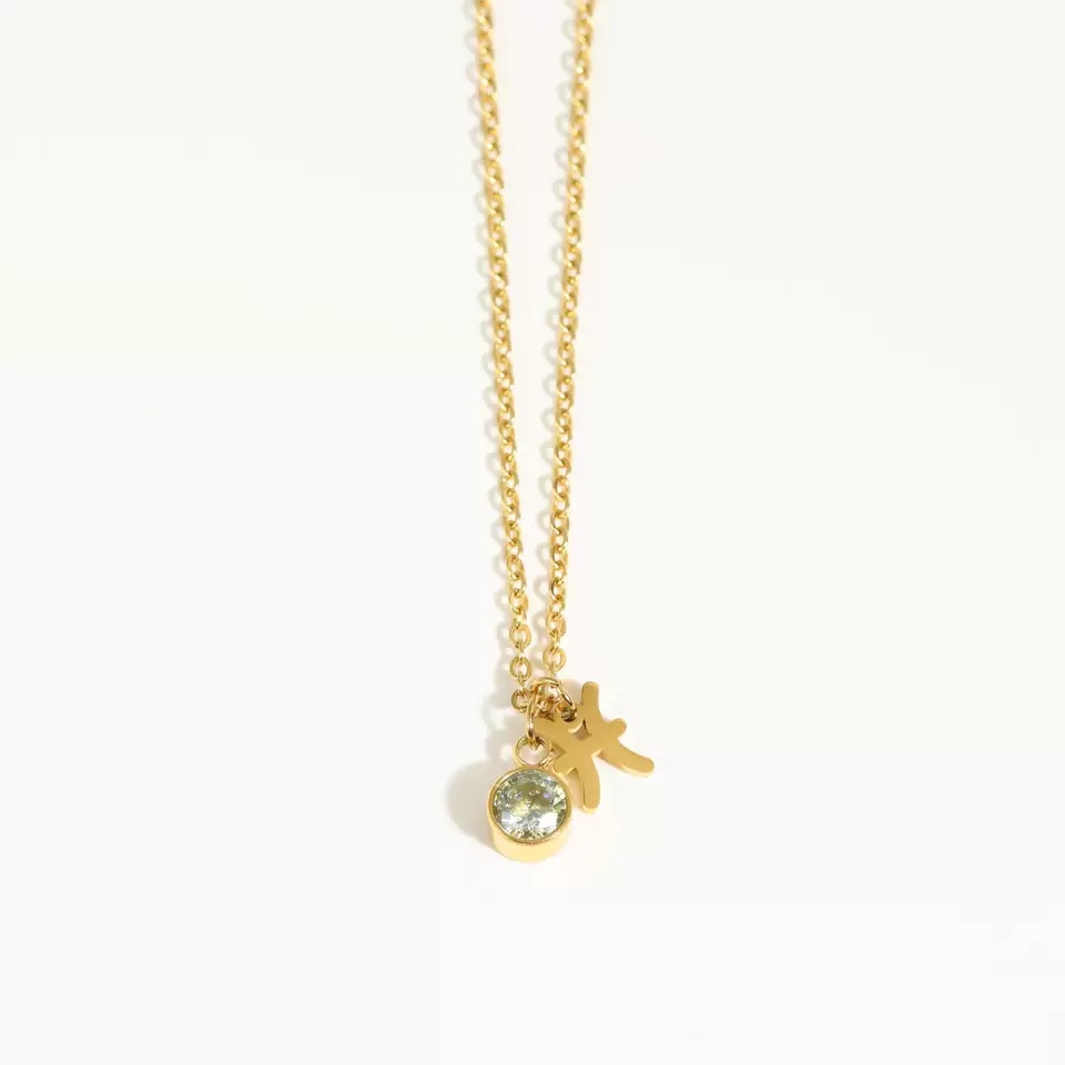 Goldtone Zodiac & birthstone necklace in stainless steel - Pisces - Eva Sky2