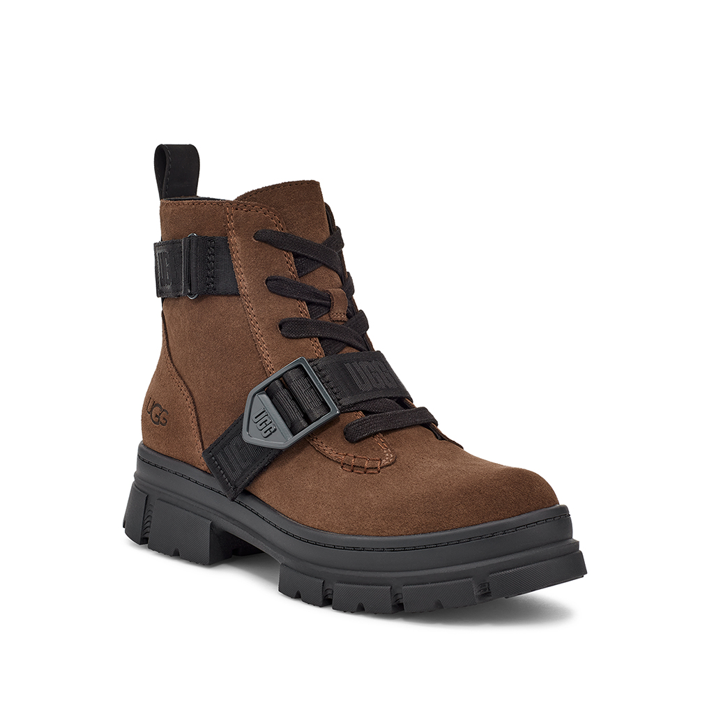 Ugg Ashton Lace Up in Dark Earth