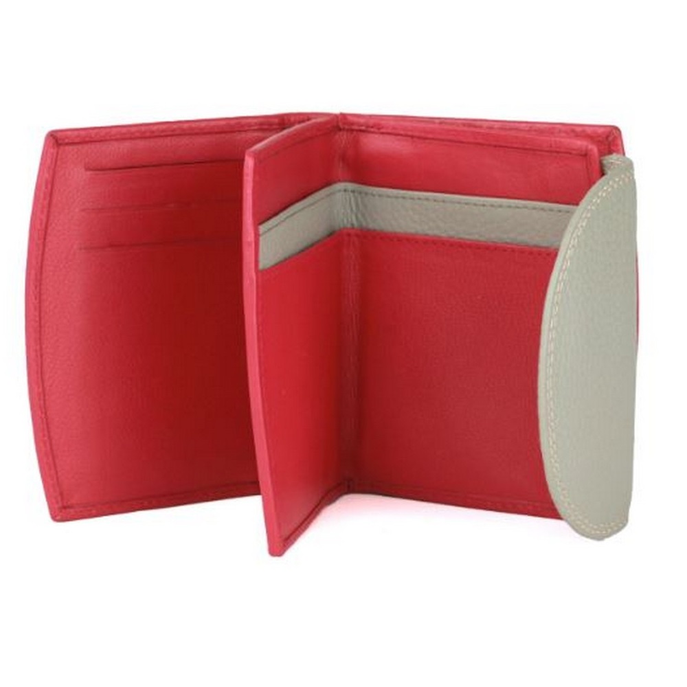 Eastern Counties Leather - Womens/Ladies Leanne Coin Purse With Contrast Panel