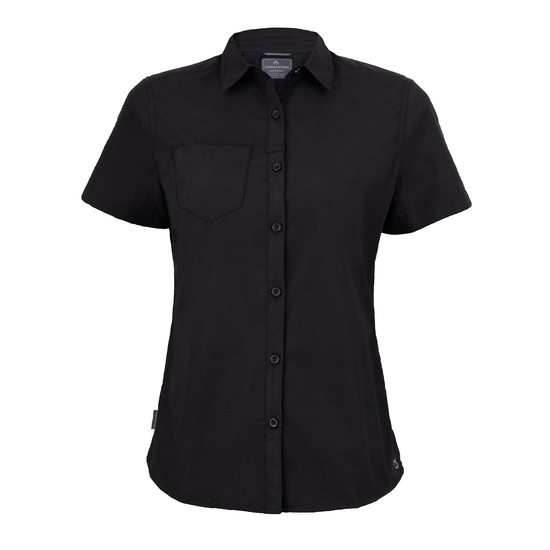 Women's Expert Kiwi Short Sleeved Shirt | Black