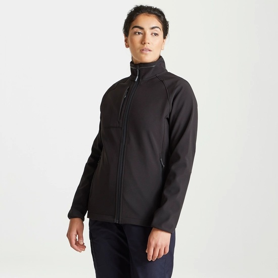 Women's Expert Basecamp Softshell Jacket | Black