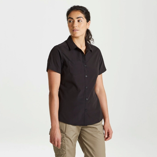 Women's Expert Kiwi Short Sleeved Shirt | Black