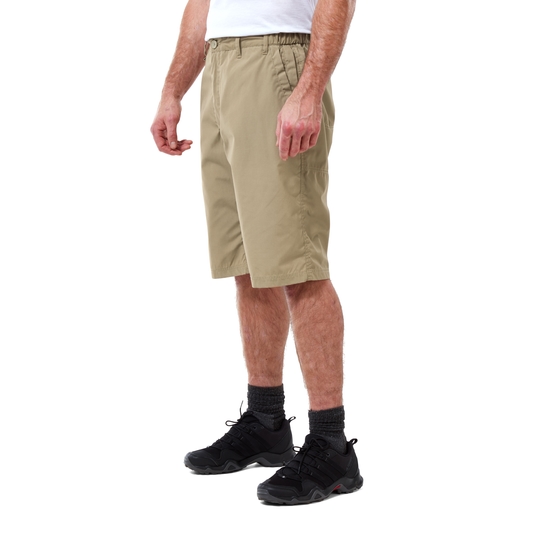 Men's Kiwi Long Shorts | Raffia