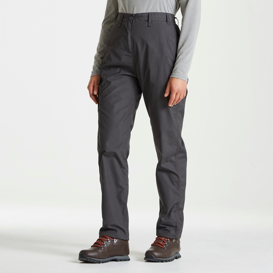 Expert Womens Kiwi Trousers | Carbon Grey