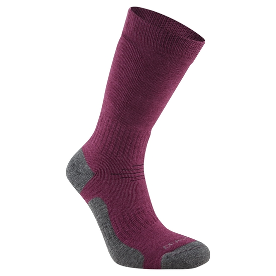 Trek Sock | Wildberry