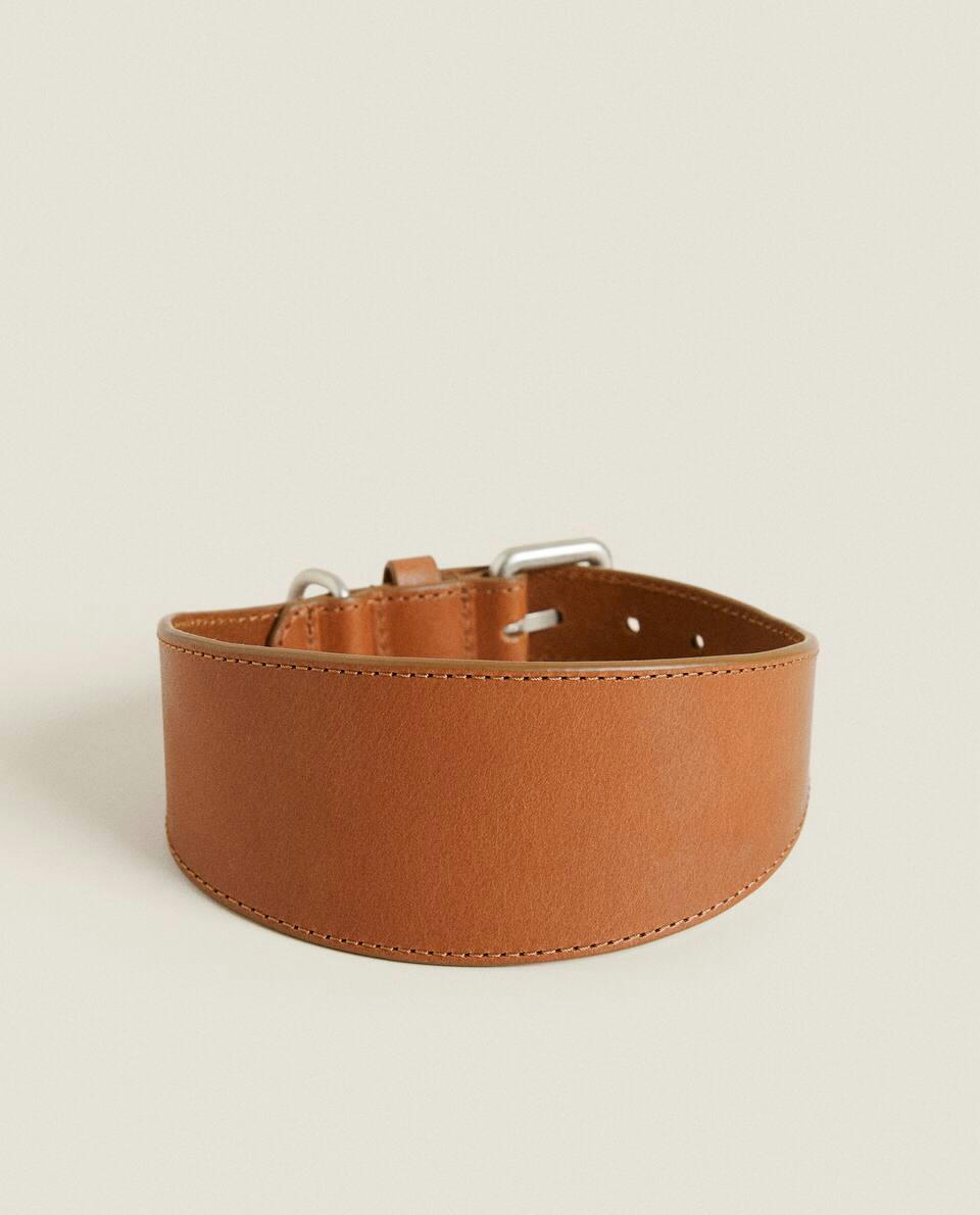 GREYHOUND PET COLLAR