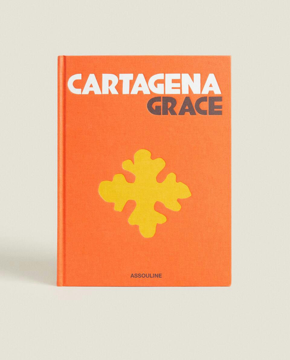 ASSOULINE CARTAGENA BOOK