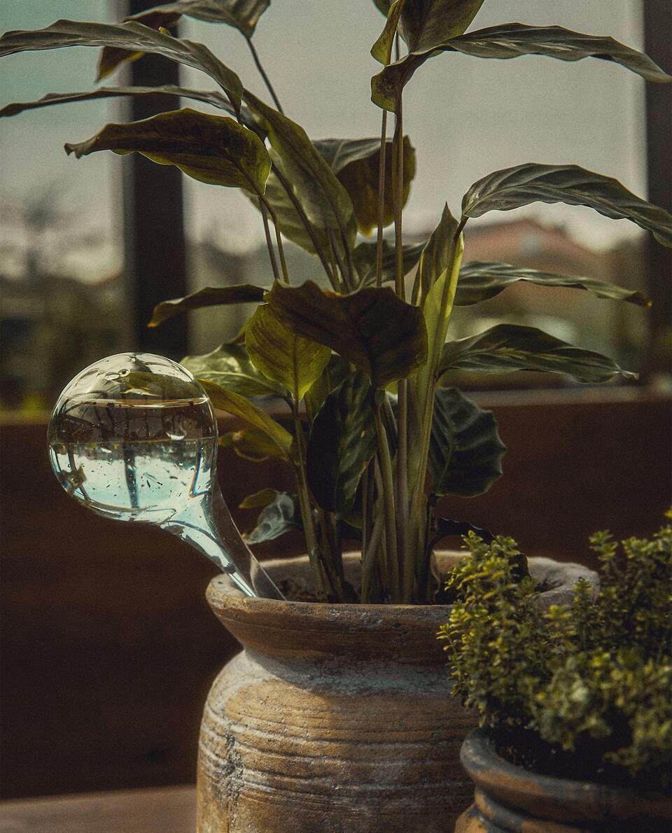 SELF-WATERING BUBBLE