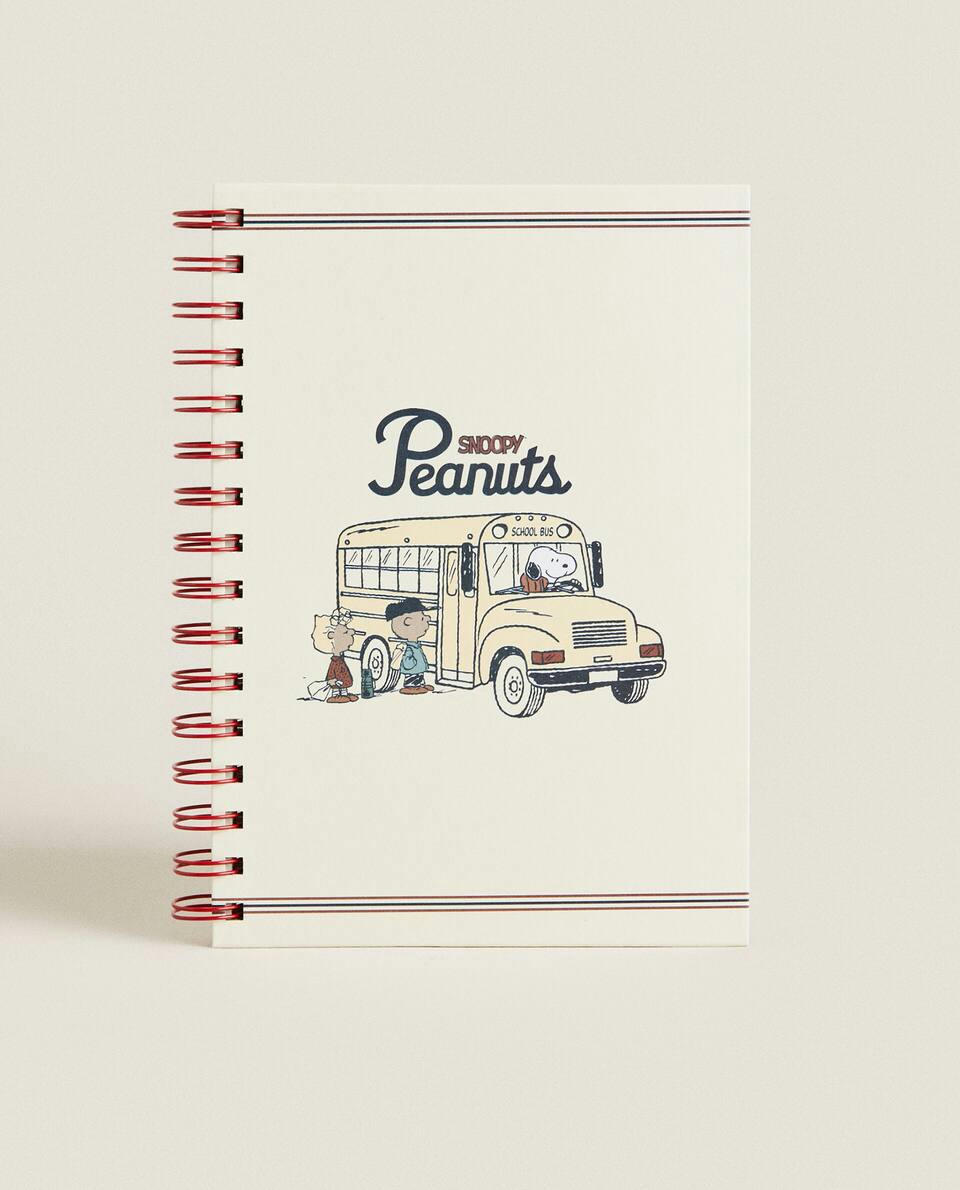 PEANUTS? NOTEBOOK