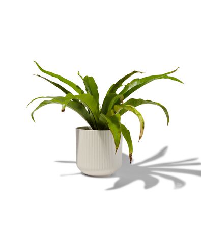bloempot met ribbels &Oslash;18 cr&egrave;me