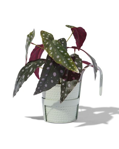 bloempot &Oslash;13x13 met balkonhaak groen