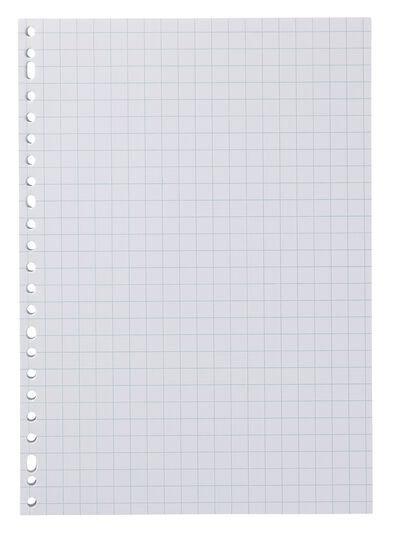 ringbandpapier geruit 10x10mm - 100 stuks