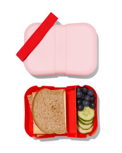 lunchbox met elastiek roze