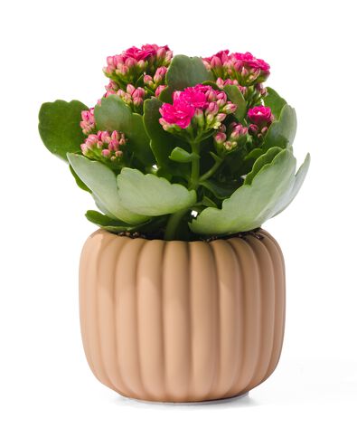 bloempot aardewerk &Oslash;9x7.5 lichtbruin