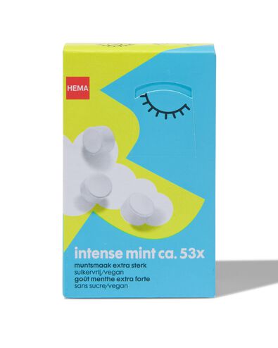 suikervrije pastilles munt - 53 stuks