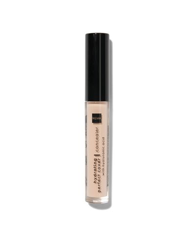 hydrating perfect cover concealer vanilla 06
