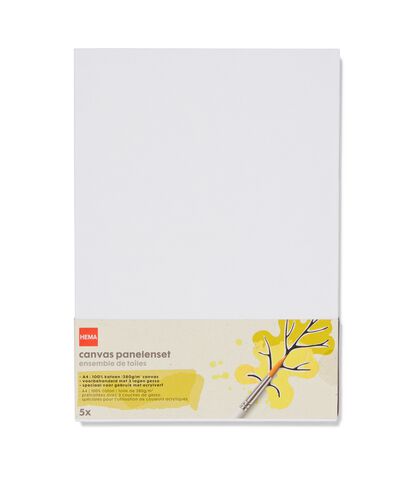 canvas panelenset A4 - 5 stuks