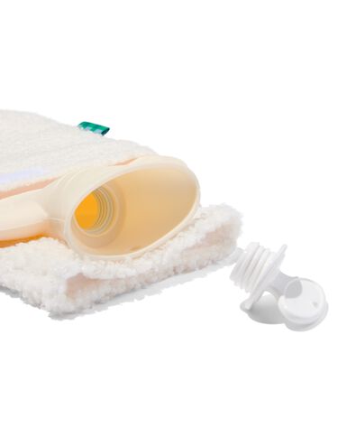 warmwaterkruik kat