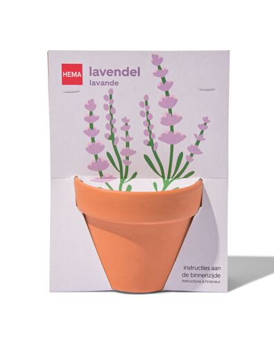 lavendel in pot &Oslash;9cm