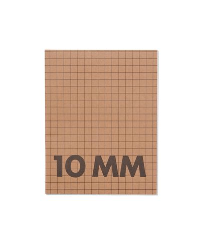 schriften A5 geruit 10 mm - 3 stuks